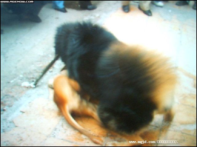 2007426170419.jpg