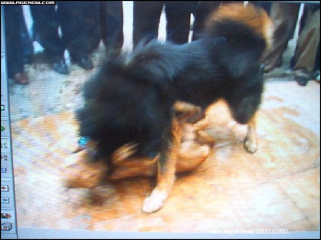 2007426170431.jpg