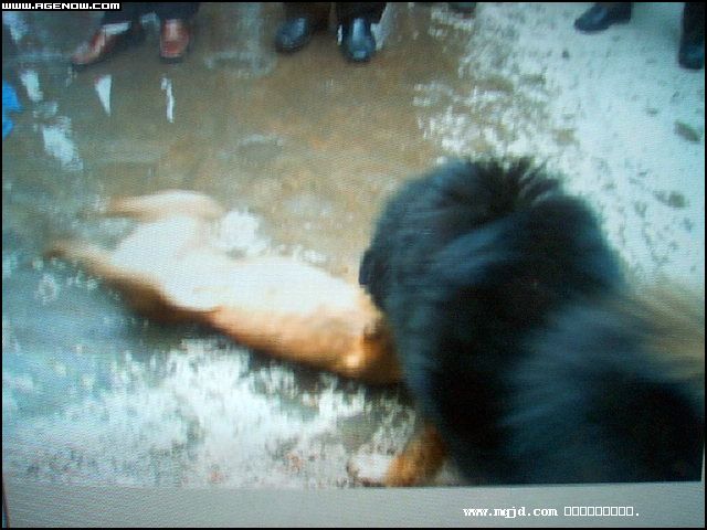 2007426170446.jpg