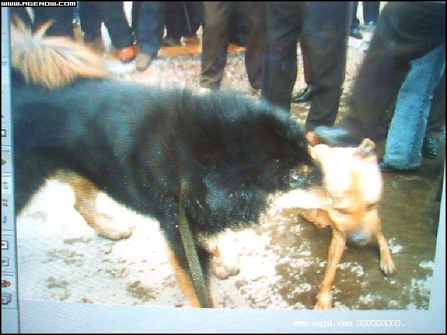 2007426170502.jpg