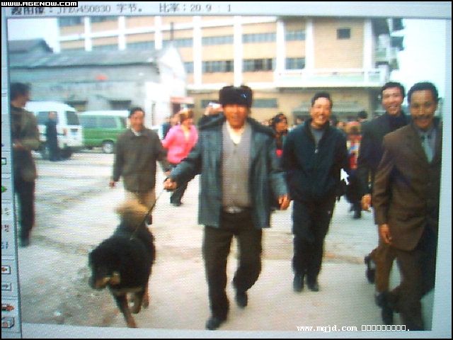 2007426170638.jpg