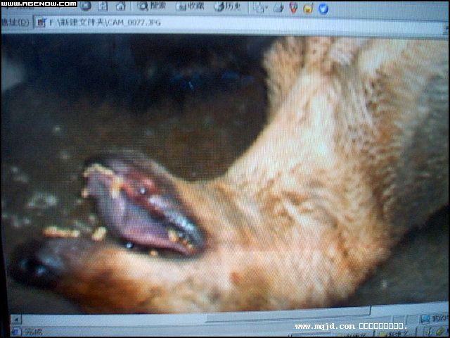 2007426170650.jpg
