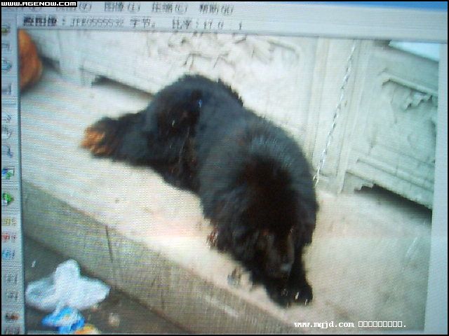 2007426170703.jpg