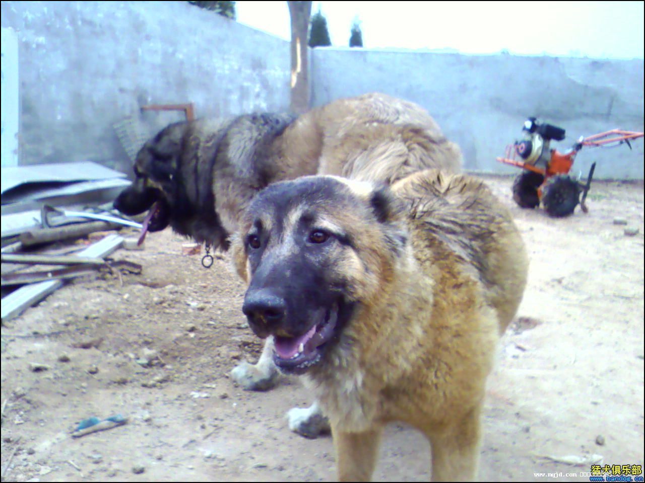 200747222808.jpg
