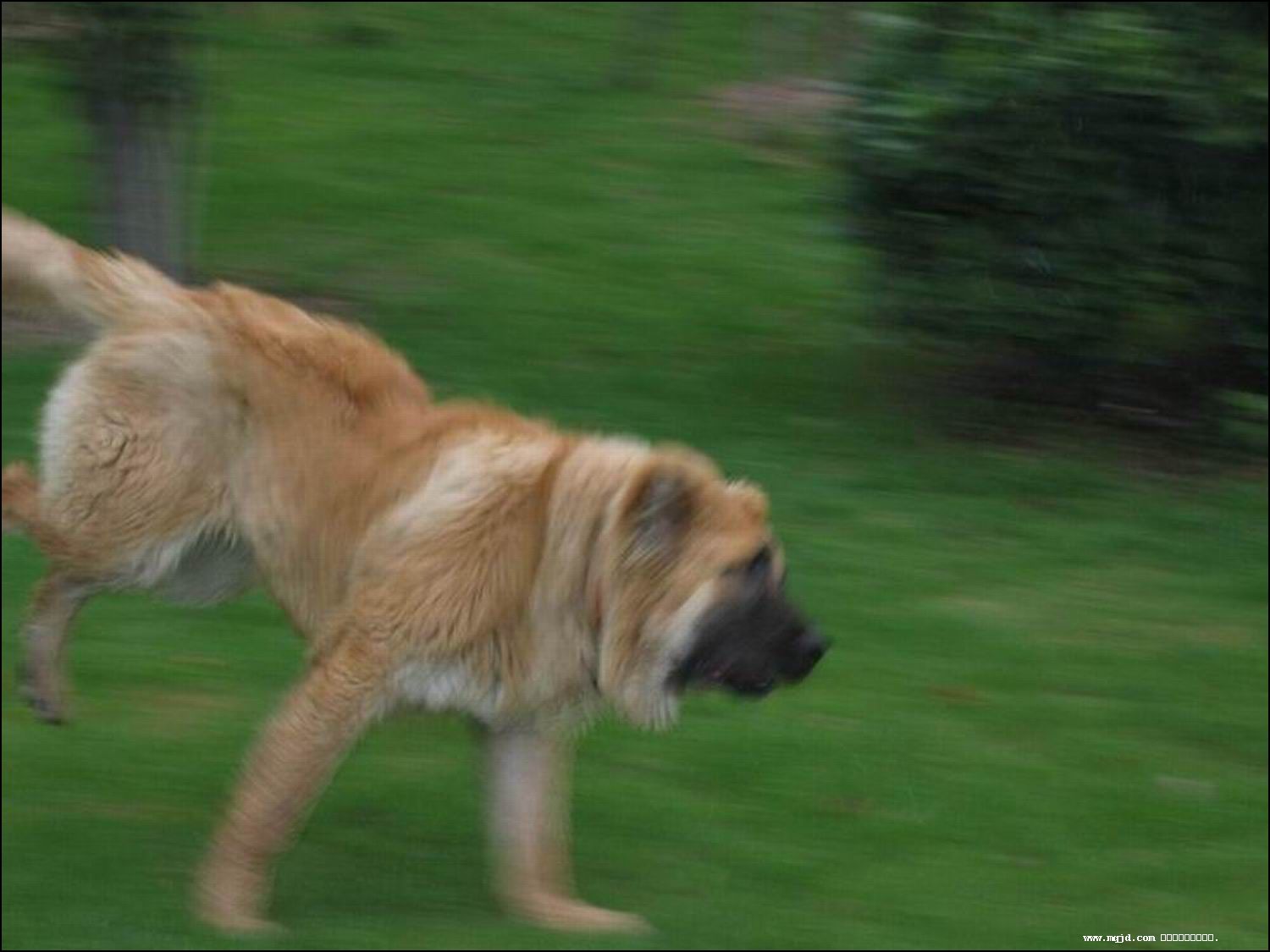 2007513210515.jpg