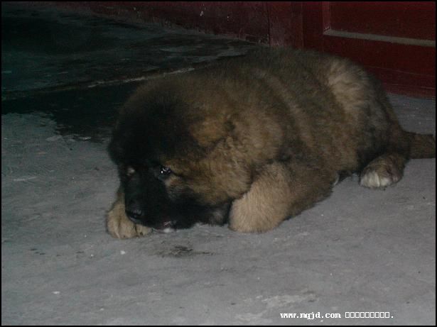 200755171258.jpg