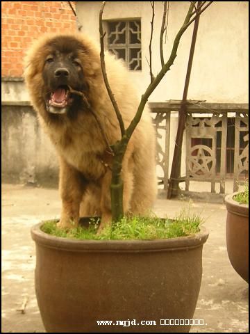 200755173013.jpg