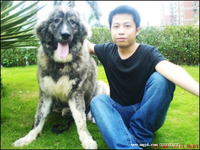 2007622223002.jpg