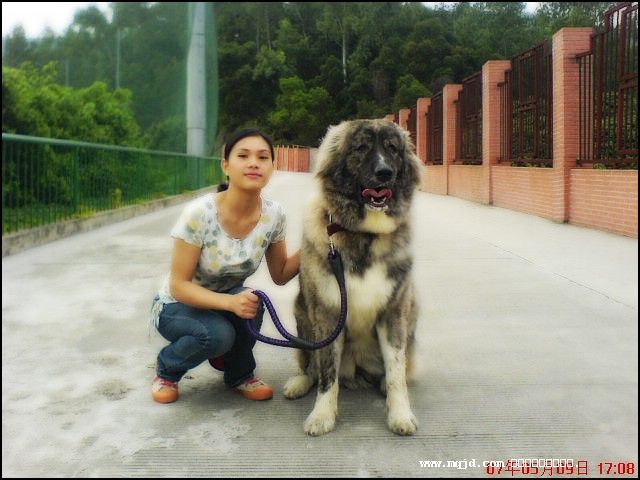 2007622223326.jpg