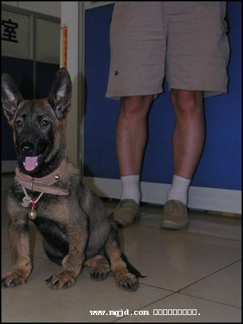 2007630165459.jpg