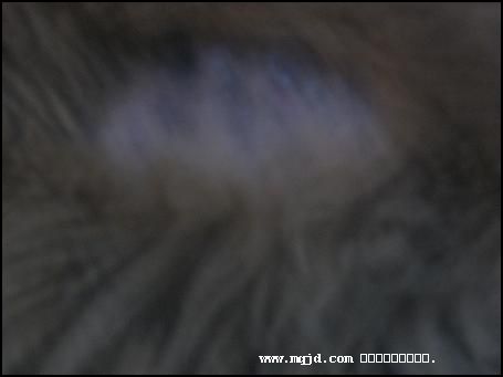 200764134145.jpg