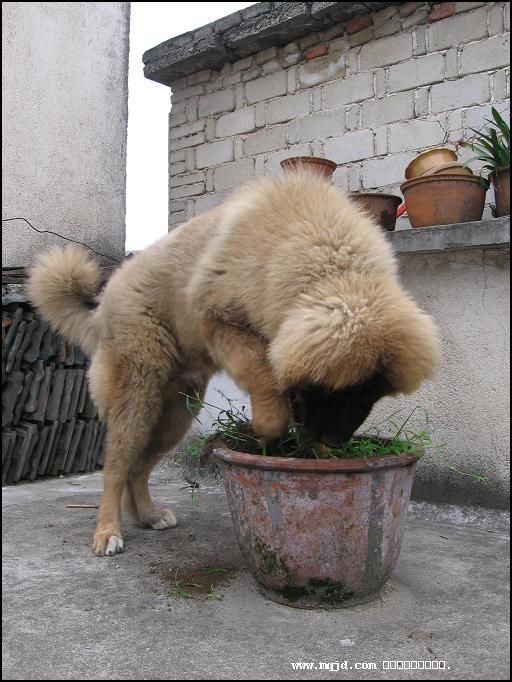 200764170531.jpg