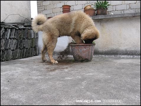 200764170543.jpg