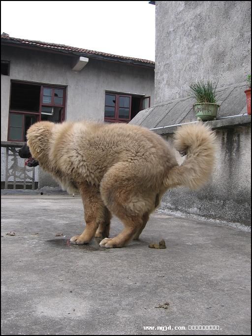 200764170551.jpg
