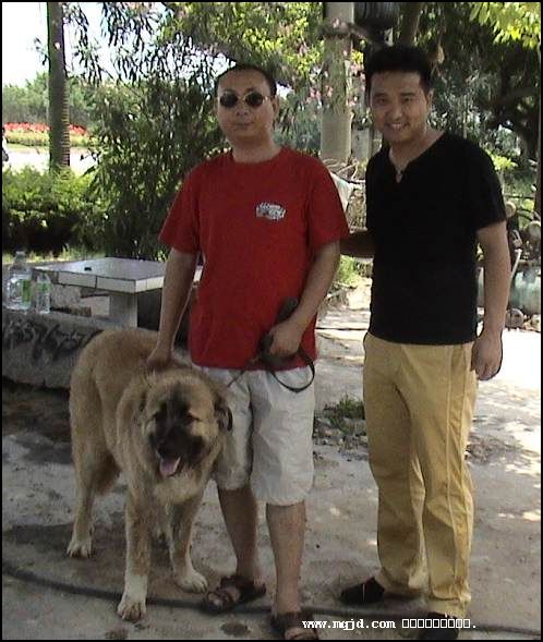200764214920.jpg