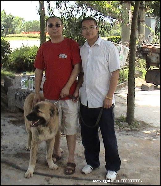 200764215002.jpg