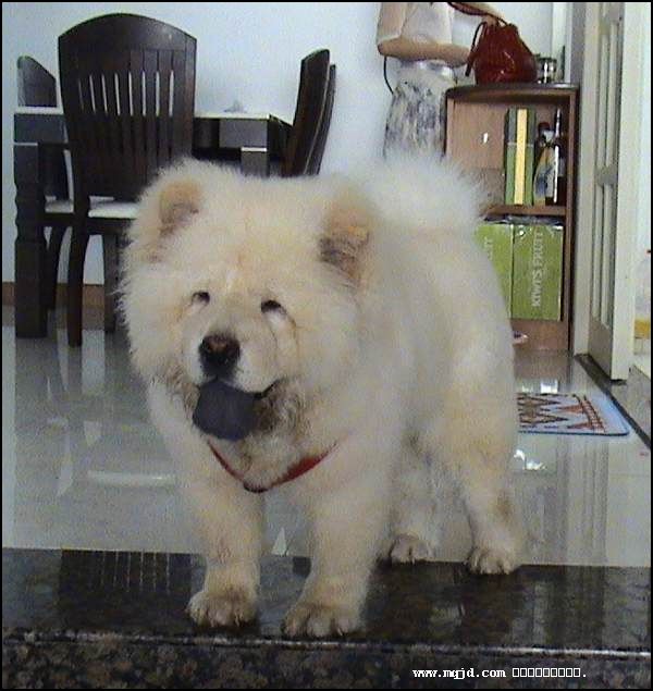 200764215030.jpg