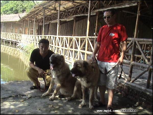 200764215144.jpg