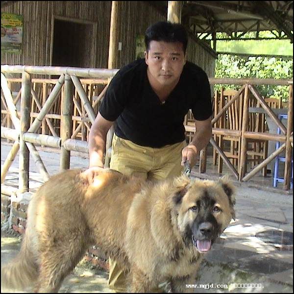 200764215216.jpg