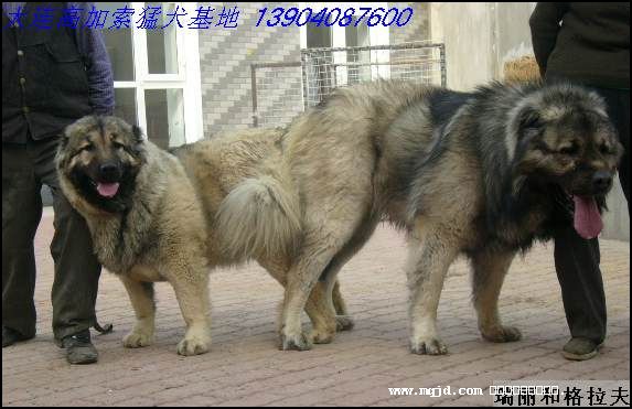 200769211517.jpg
