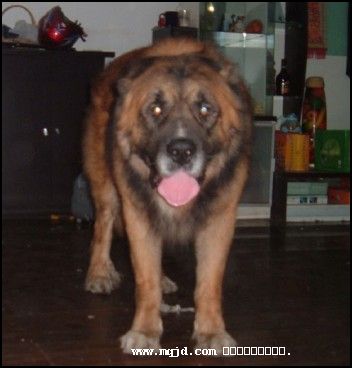 20077112516.jpg