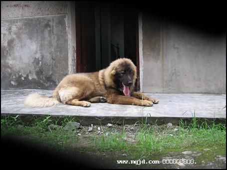 2007717211058.jpg