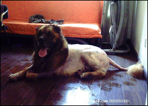 20077204713.jpg