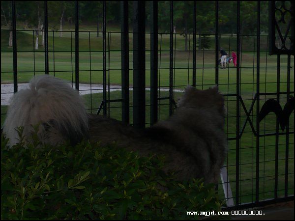 2007722230449.jpg
