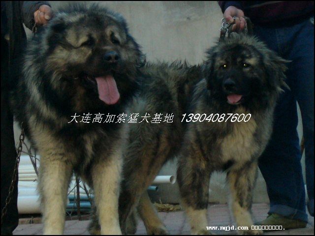 200772503903.jpg