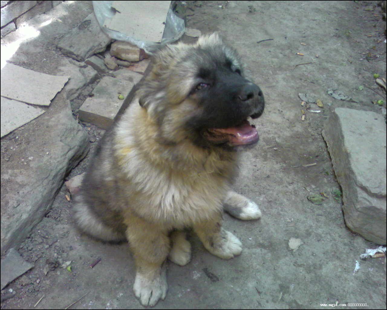 2007729110814.jpg