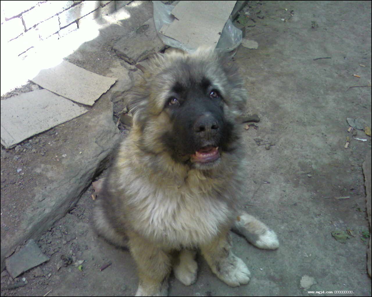 2007729110835.jpg