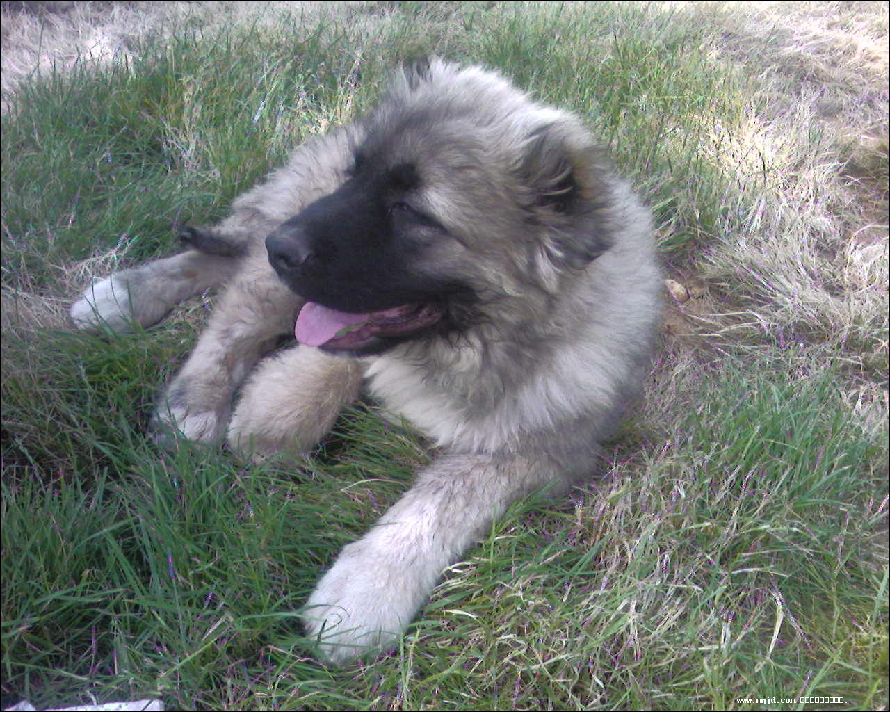 2007729110941.jpg