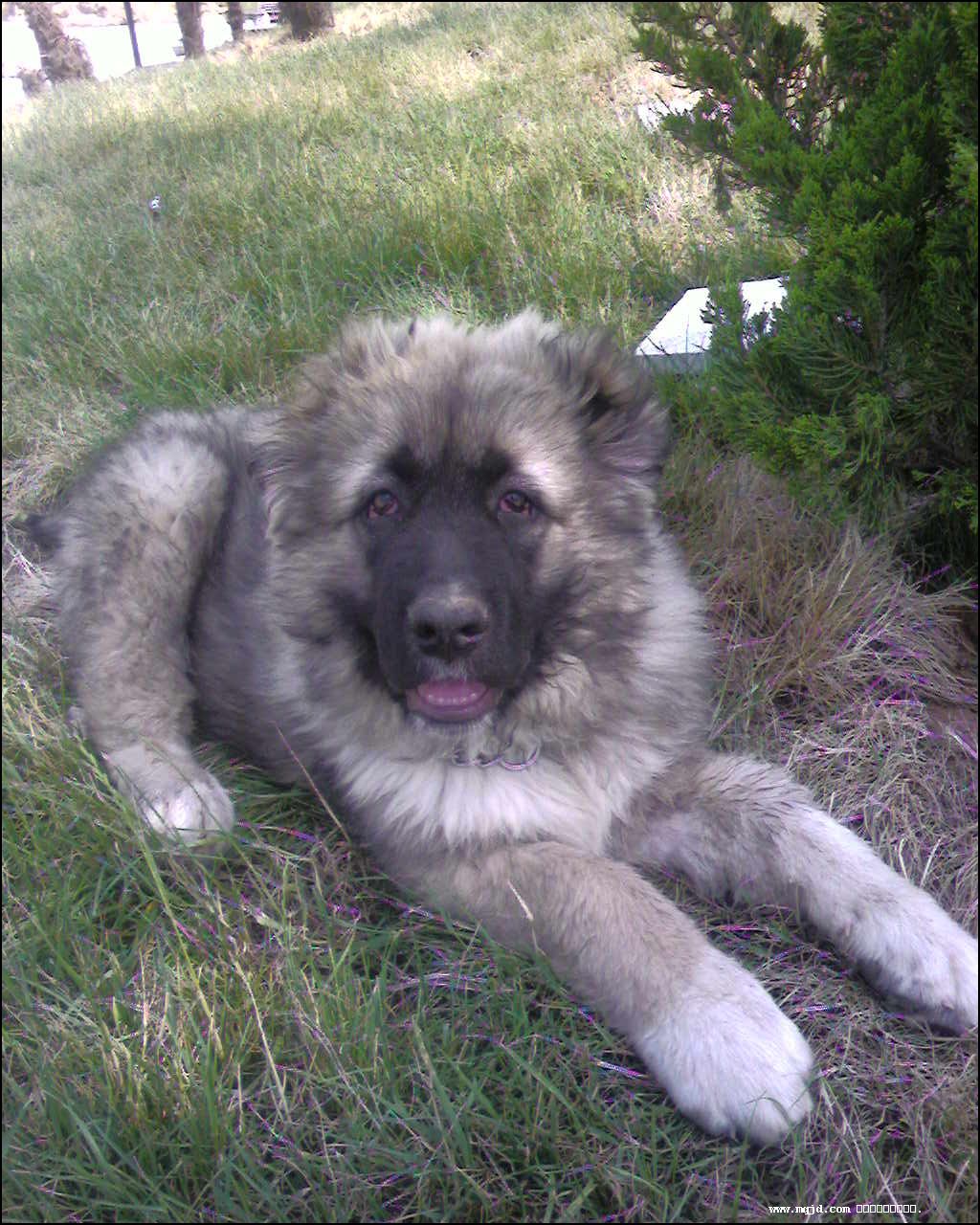 2007729110959.jpg