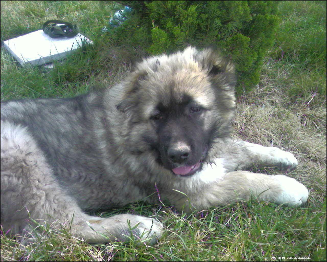 2007729111029.jpg