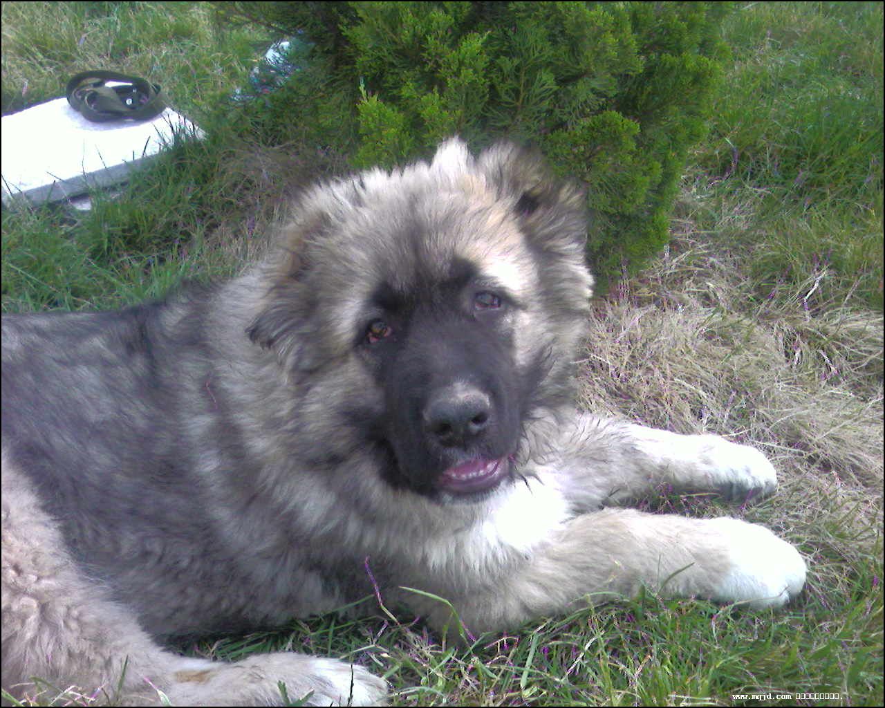 2007729111051.jpg