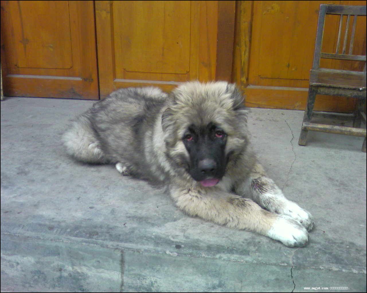 2007729111258.jpg