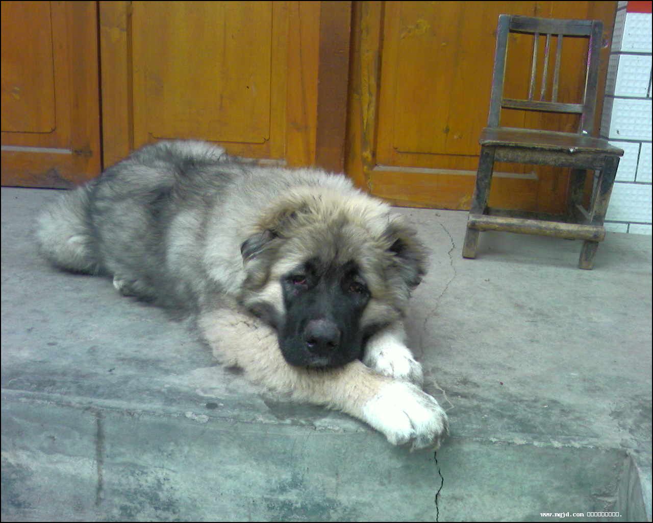 2007729111405.jpg