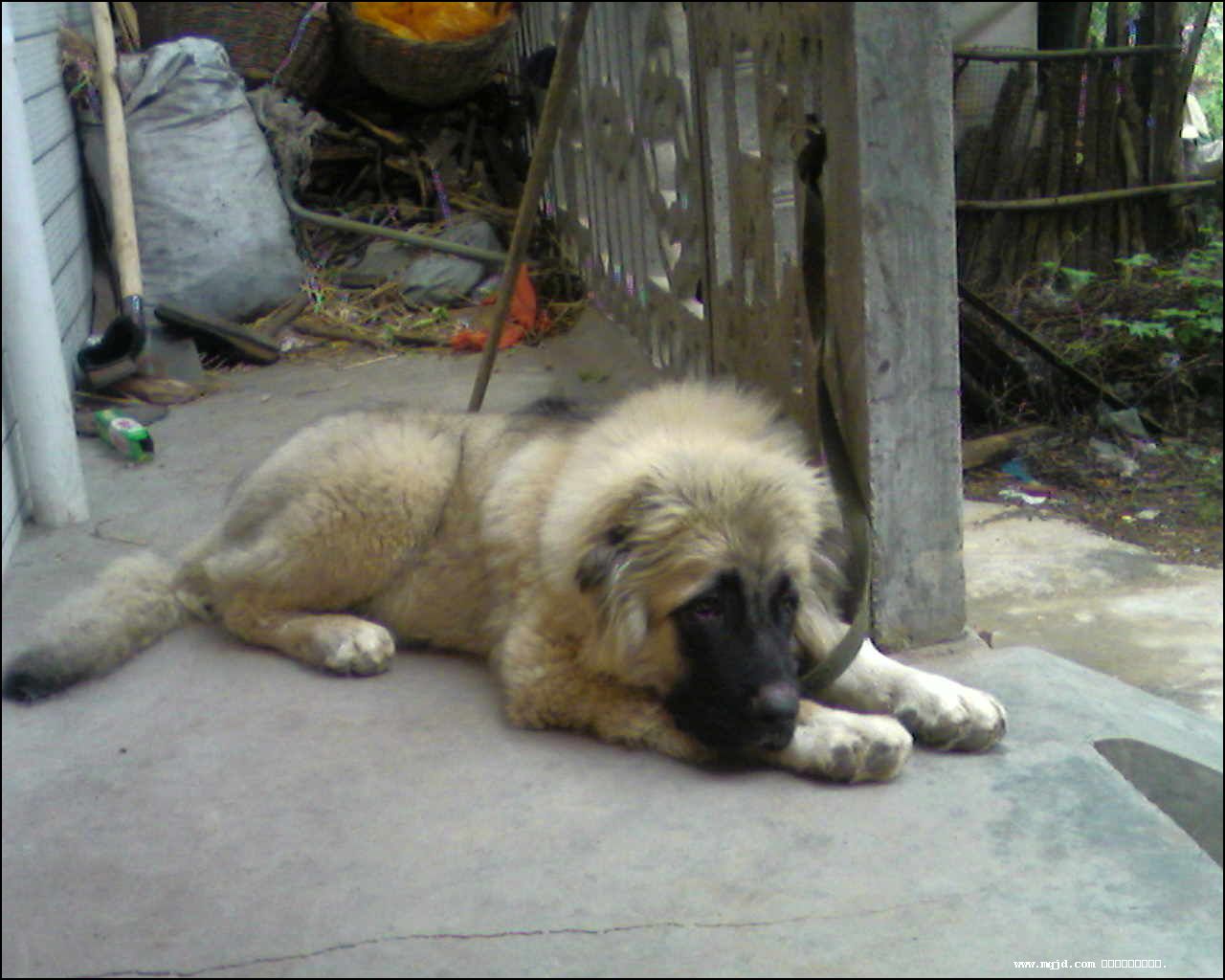 2007729112540.jpg