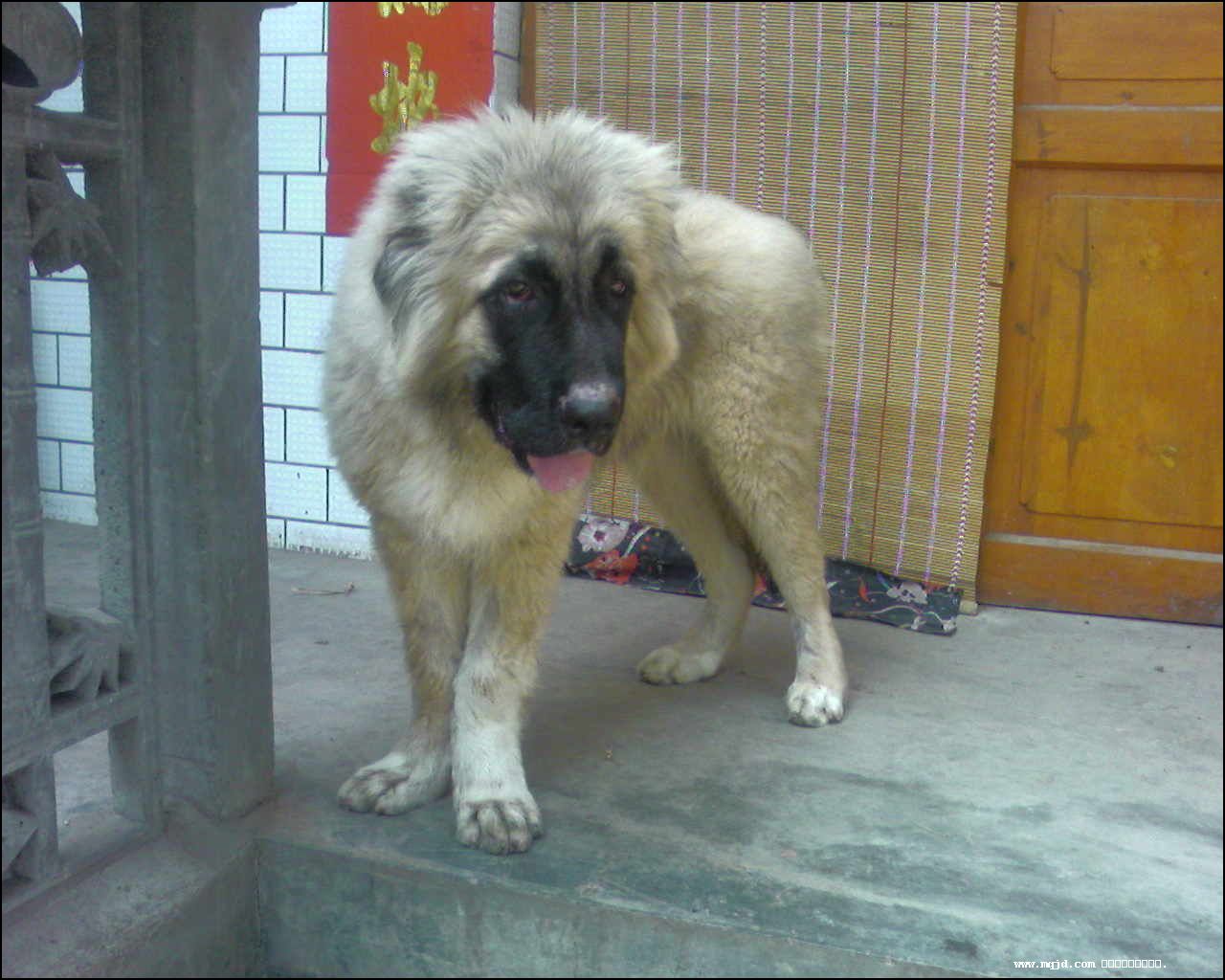 2007729112648.jpg