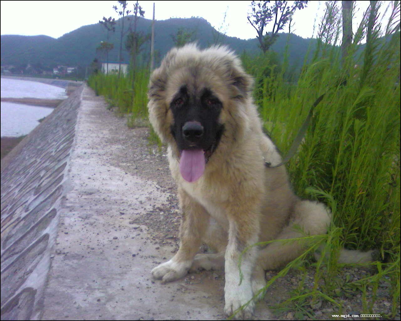 2007729112738.jpg