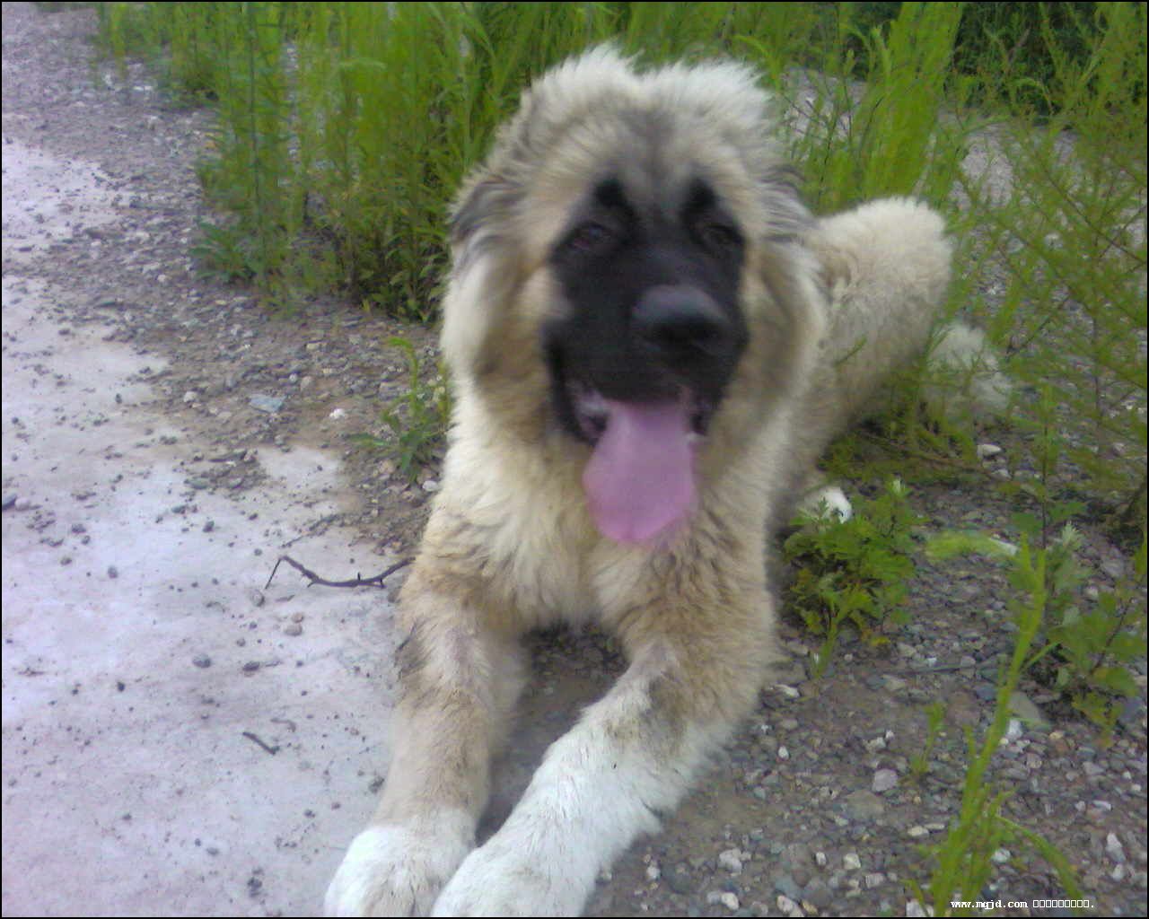2007729112748.jpg